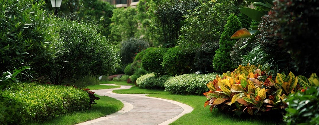 �з���䞳�G���������D